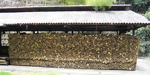 品質の良い竹炭を焼くのにとてもいい環境です