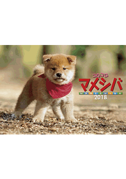 幼獣マメシバ