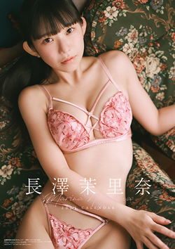 V䝗